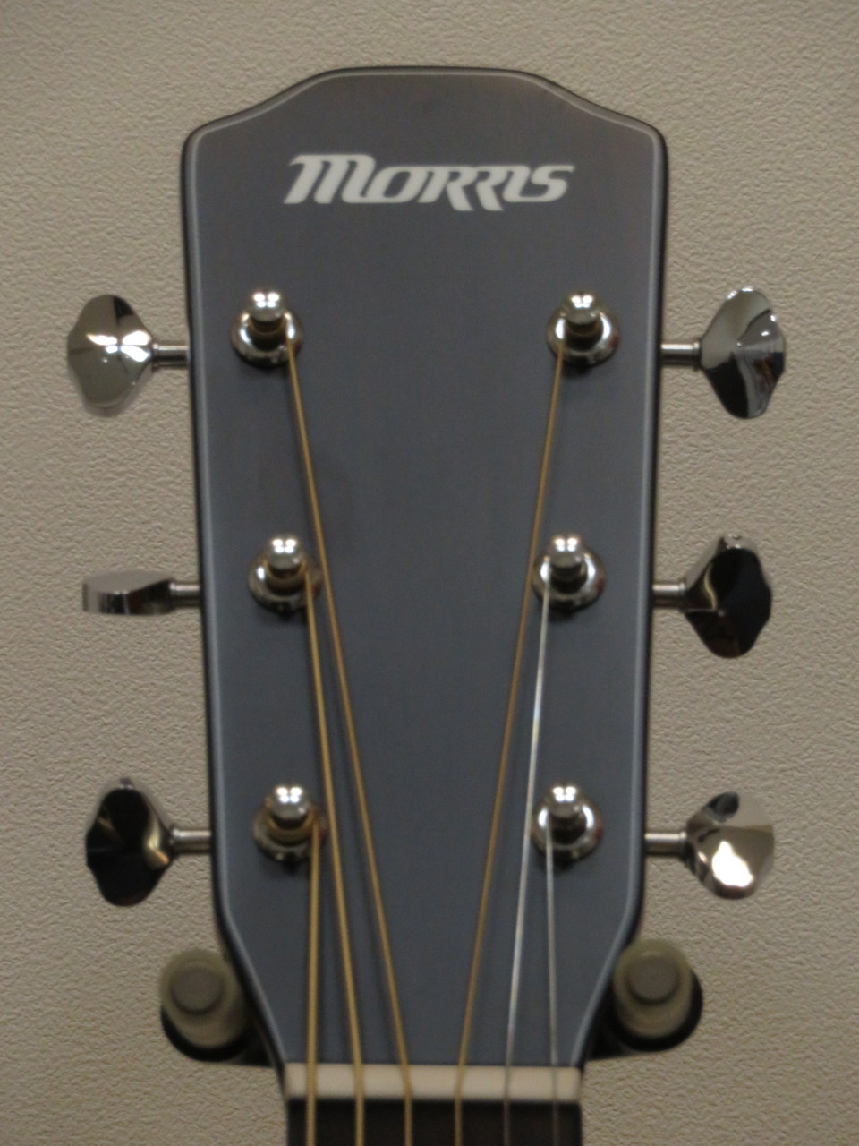 MORRIS F-01NAT ギータ Morris モーリス F-1 NAT アコースティックギター（新品/送料