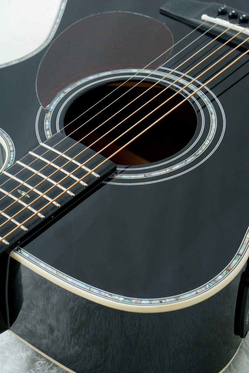 Stafford SF-5C -BLK-【数量限定アクセサリーセット付!】【初心者に