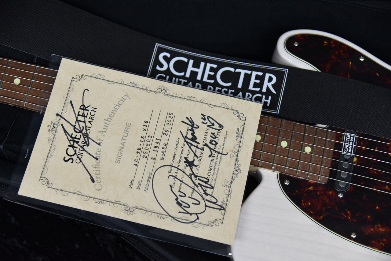 SCHECTER AC-TK-TE-WH/SIG 未展示品（新品）【楽器検索デジマート】