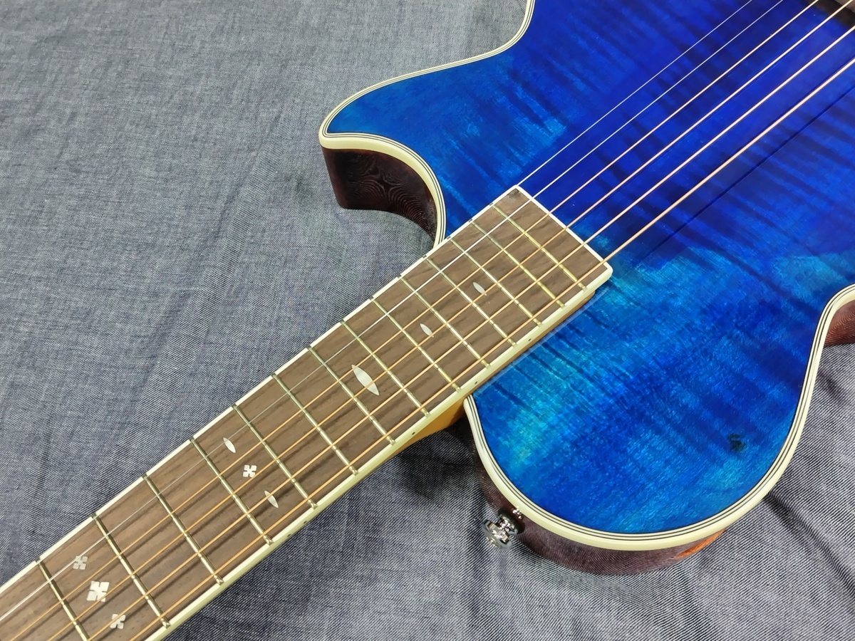ARIA APE-100 SBL（B級特価）【楽器検索デジマート】