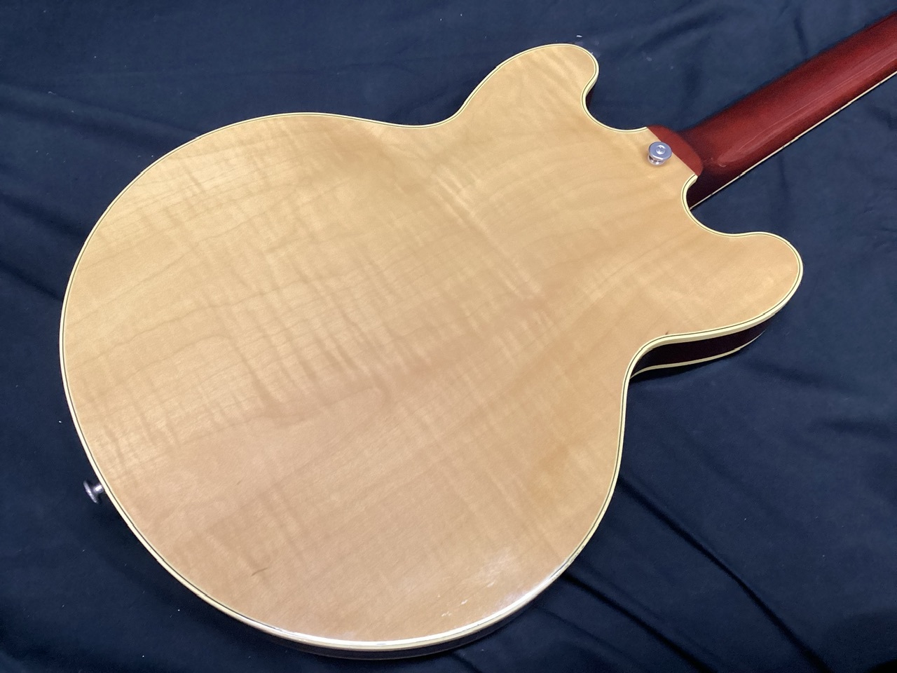 FUJIGEN(FGN) MSA-SP / Natural (フジゲン セミアコ Masterfield FUJIGEN(FGN) MSA-SP / Natural (フジゲン セミアコ Masterfield