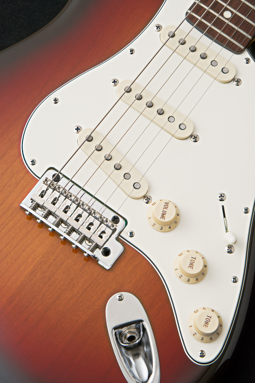 FUJIGEN(FGN) NST200RAL -Vintage Sunburst- VSB【日本製】【3.49kg