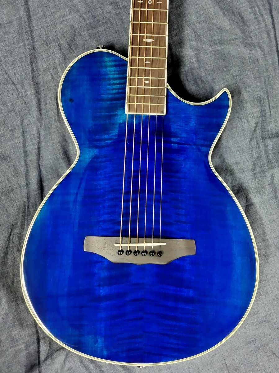 ARIA APE-100 SBL（B級特価）【楽器検索デジマート】