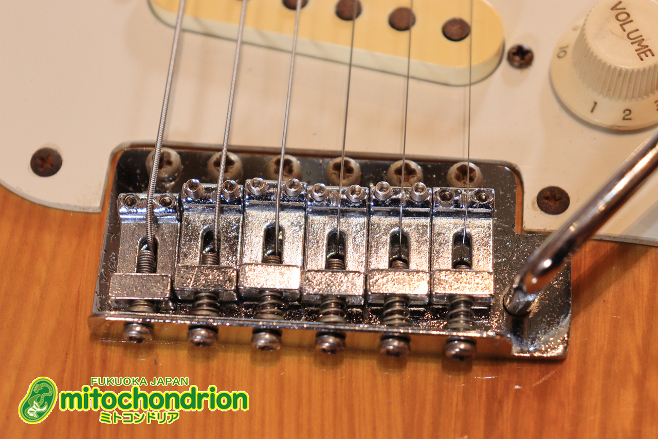 Tokai 1981y SS40 SILVER STAR / Yellow Sunburst（中古）【楽器