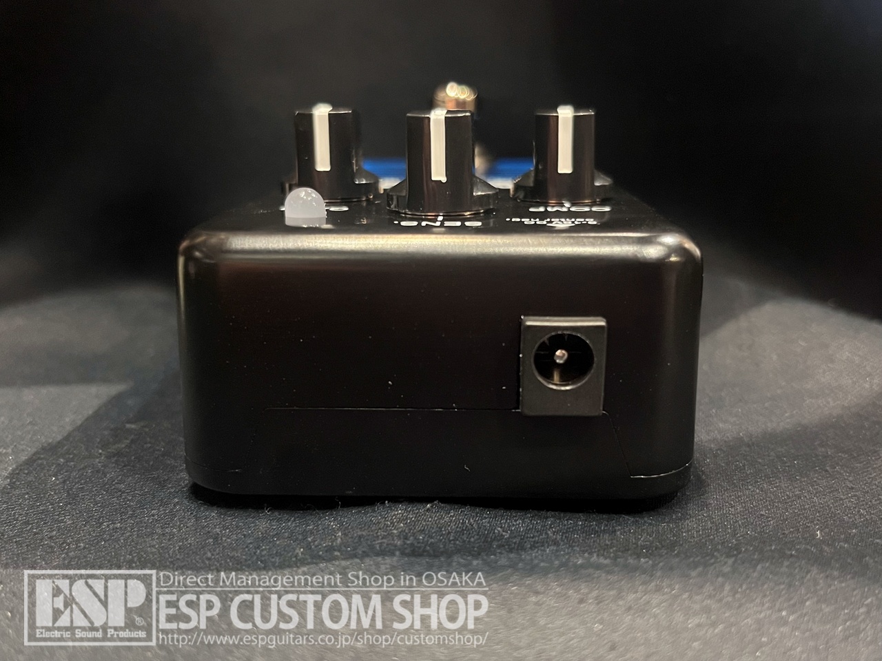EBS MultiComp BlueLabel（新品/送料無料）【楽器検索デジマート】