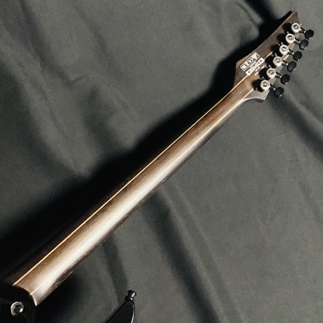 Ibanez RGD61ALA Midnight Tropical Rainforest（新品/送料無料