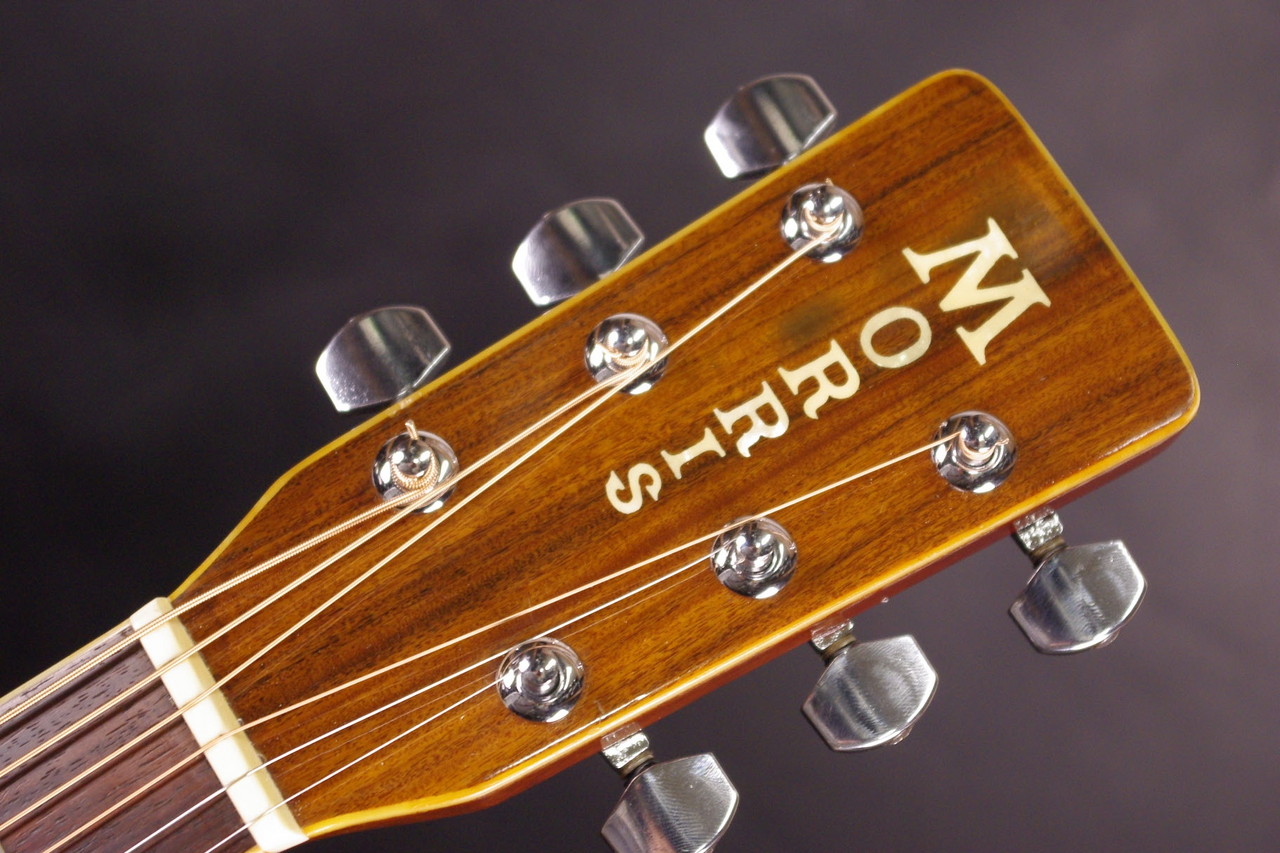 ソ*ヨ様 Morris W-40 Morris W-40（ビンテージ）【楽器検索デジマート】