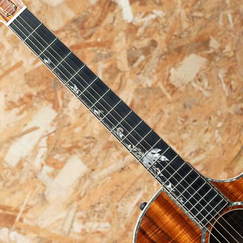 Taylor Grand Auditorium Custom -MIKI 200th Anniversary-（新品