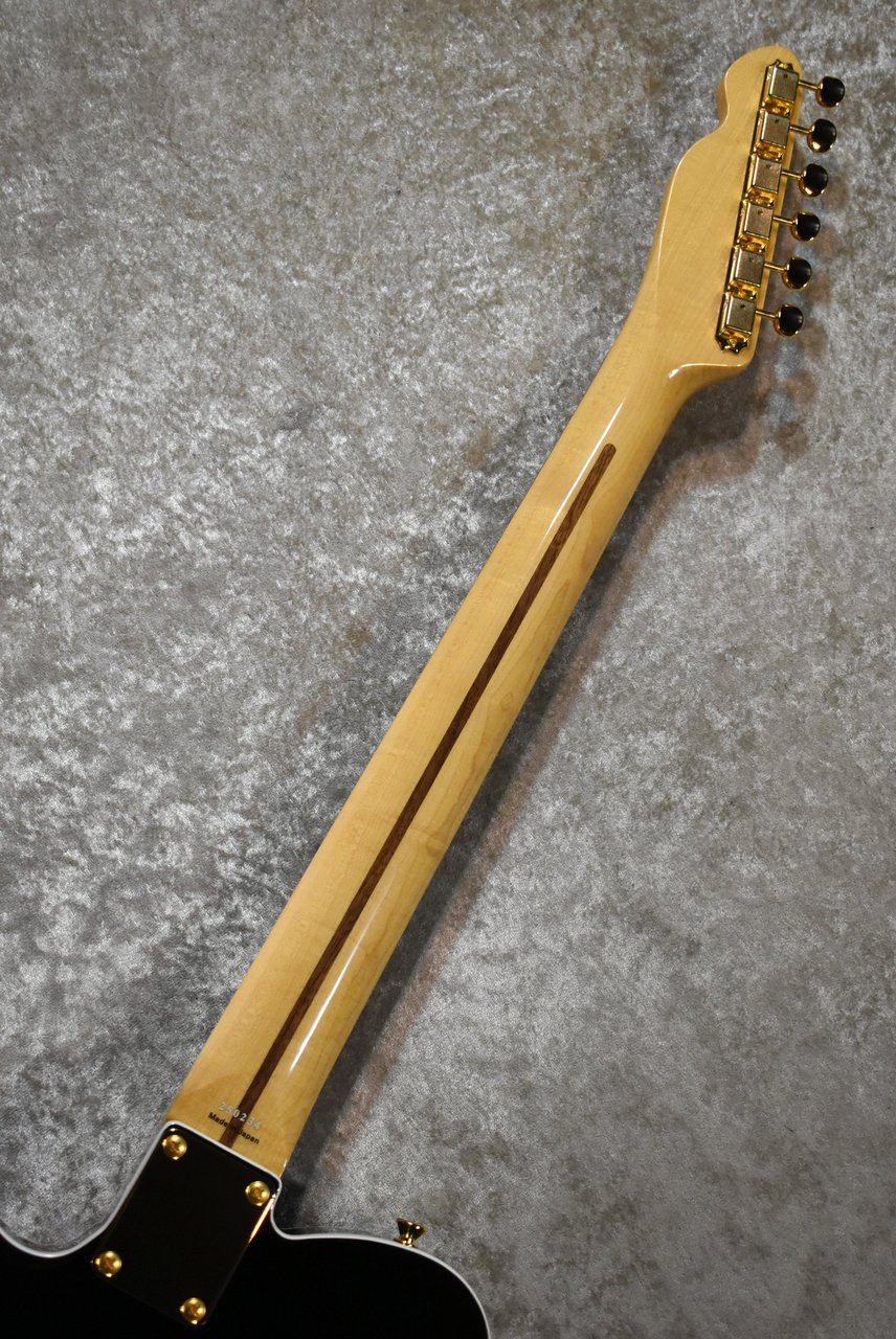 【元値16万！】カタログ外 Tokai ATE-101B/G BBR 超美品テレ Tokai ATE-101B/G BBR #250234【待望の入荷、3.76kg】（新品）【楽器