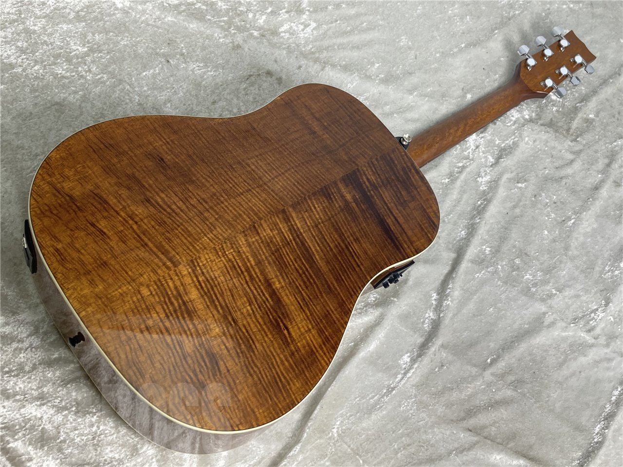 Morris G-021 E Natural(NAT)（新品/送料無料）【楽器検索デジマート】