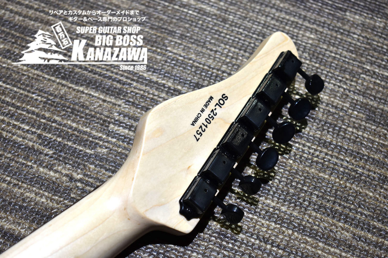 SCHECTER OL-ST-22/AB/R【オールブラック!】（新品/送料無料）【楽器