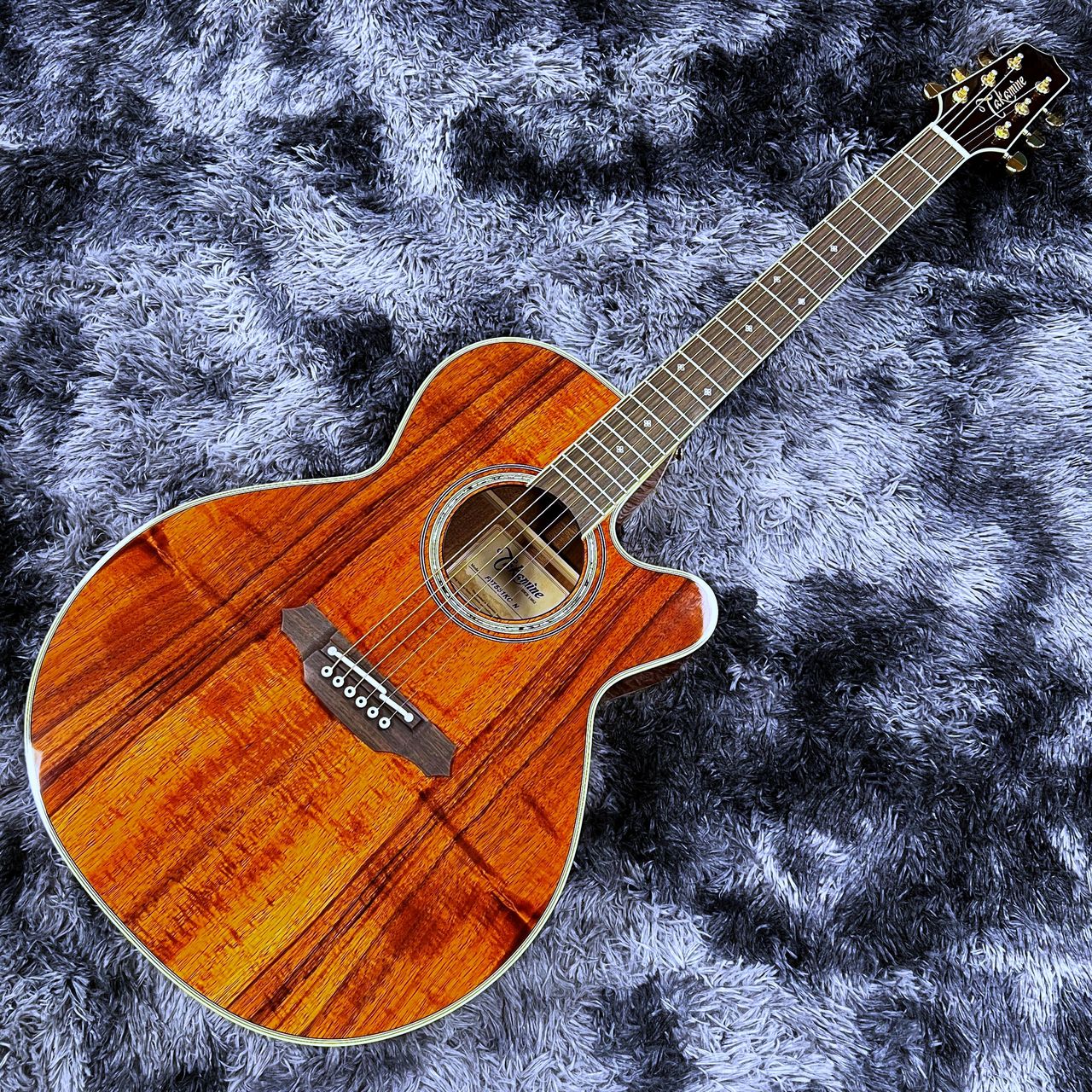 Takamine FPT531KC N 【2025年製】【日本製】【エレアコ】【ワイルドな
