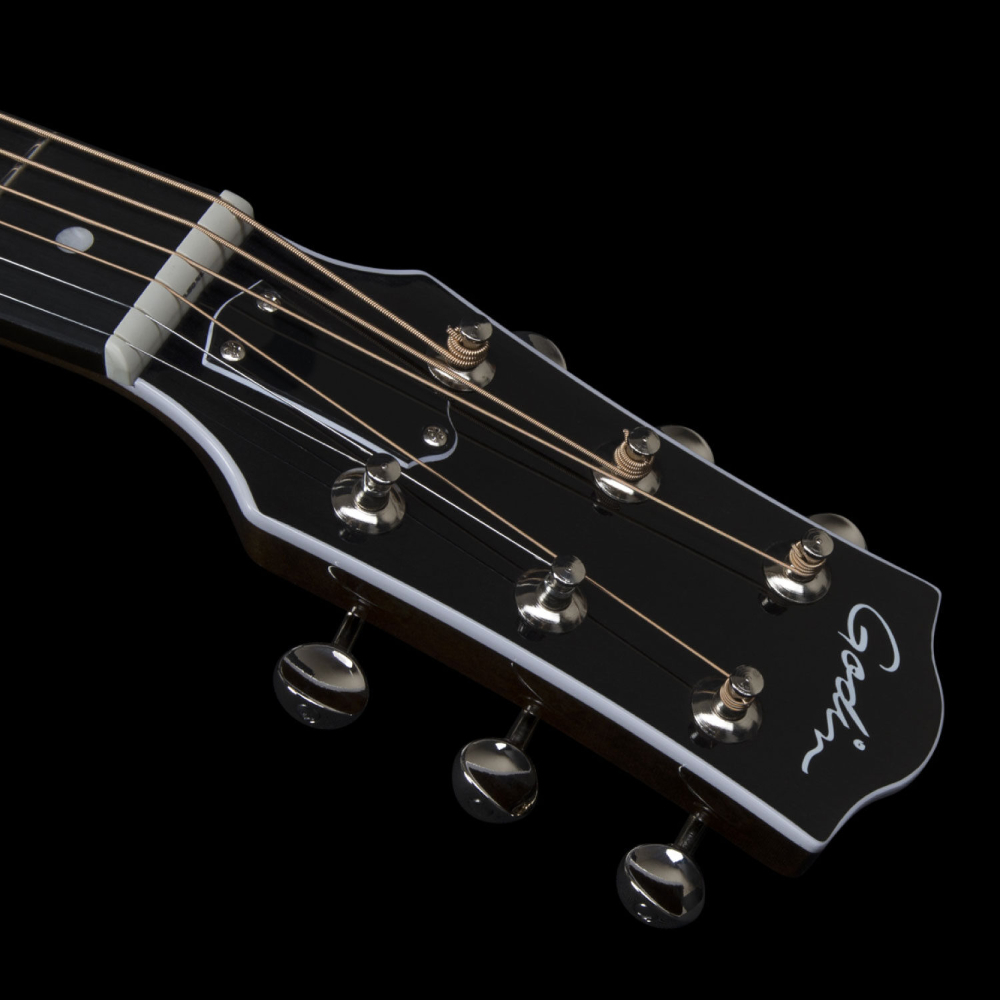 Godin ゴダン Rialto JR Satina Gray HG Q-Discrete エレクトリック