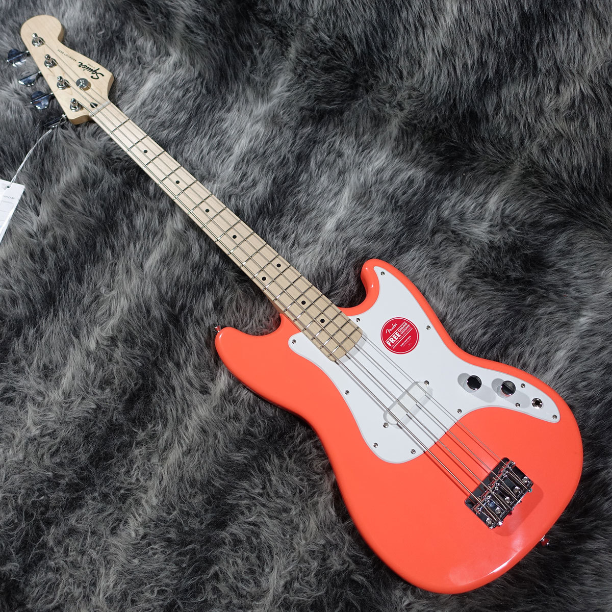 Squier by Fender Sonic Bronco Bass Tahitian Coral（新品）【楽器