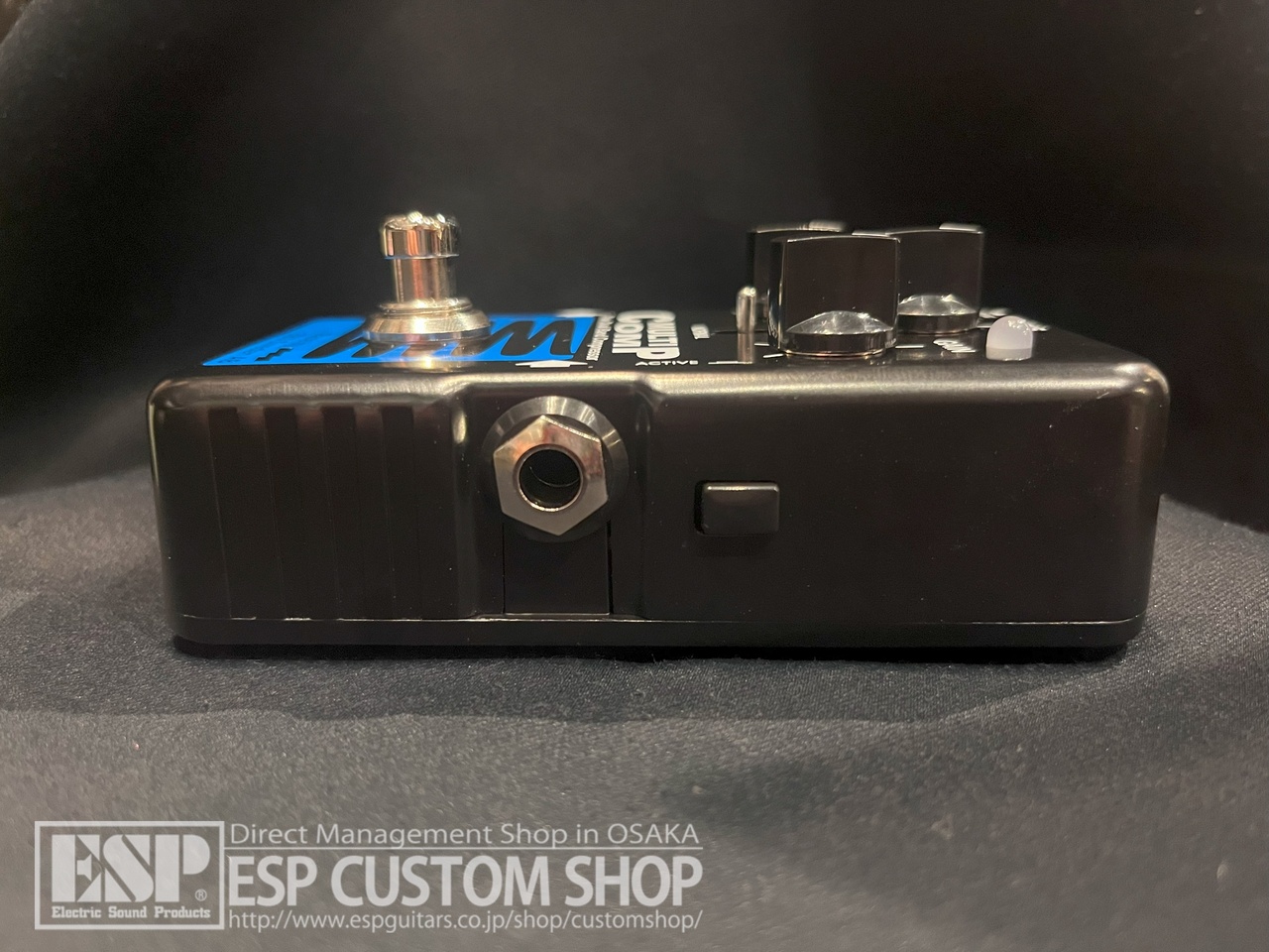 EBS MultiComp BlueLabel（新品/送料無料）【楽器検索デジマート】