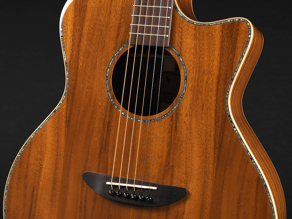 DCT GR-645K CE ~Natural Gloss~（新品/送料無料）［デジマートSALE