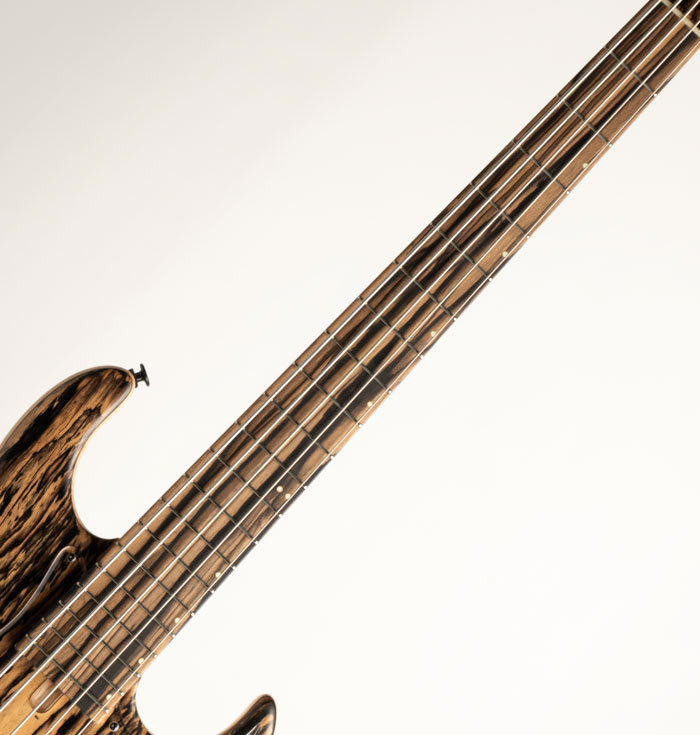 Wood Custom Guitars Vibe-5 19pitch Model / Pale Moon Ebony Top