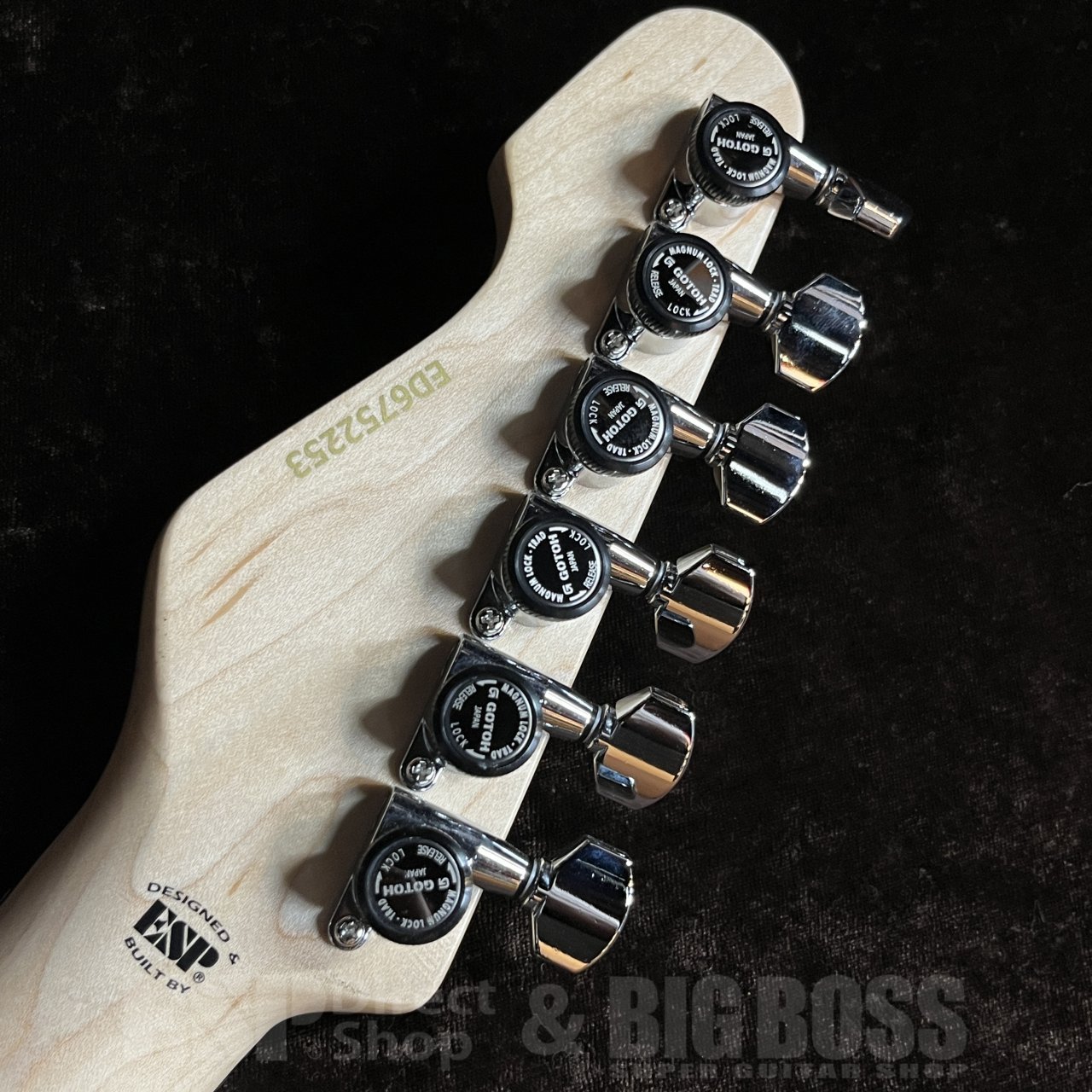 EDWARDS E-SNAPPER-AL/R【Black】（新品/送料無料）【楽器検索デジマート】