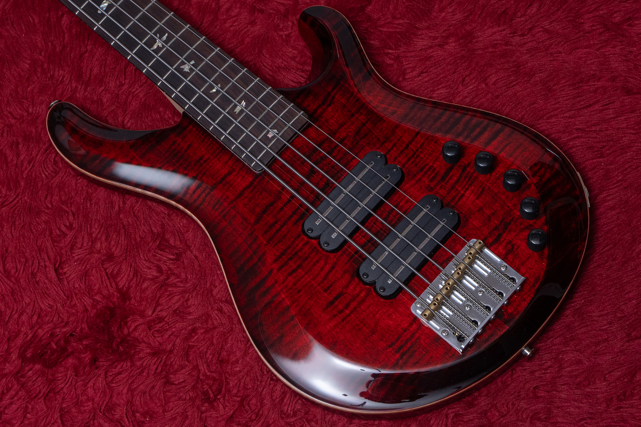 Paul Reed Smith(PRS) Grainger 5 String Bass FR 4.520kg #365065