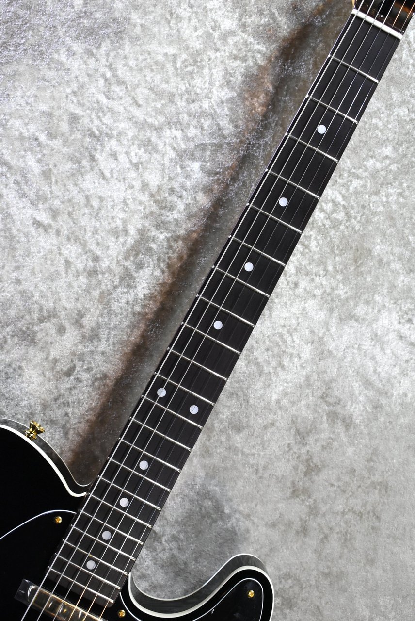 Tokai ATE-101B/G BBR #250632【待望の入荷、漆黒指板、軽量3.56kg