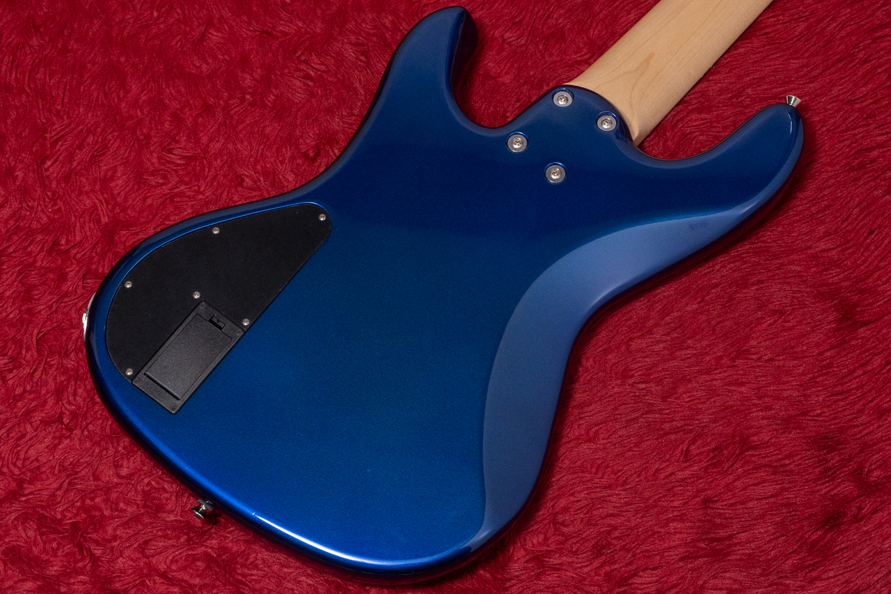 FREEDOM CUSTOM GUITAR RESEARCH C.S. Anthra 5st. Active FRK 2024