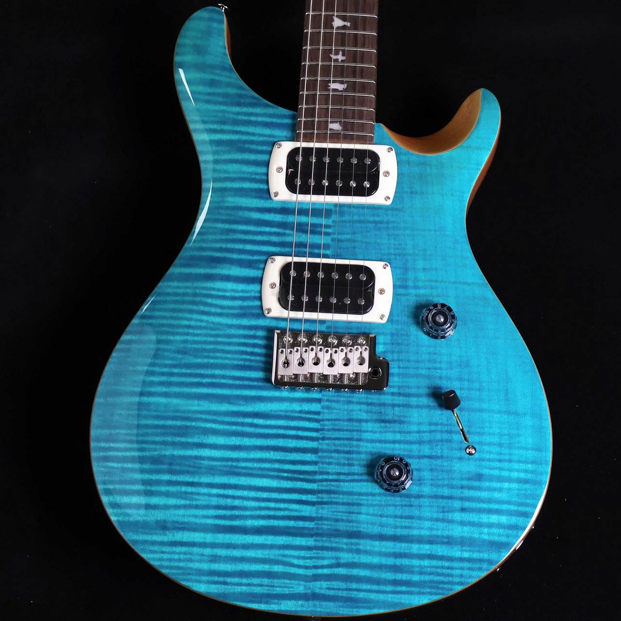 Paul Reed Smith(PRS) SE Custom24 Blue Matteo Natural Back SE
