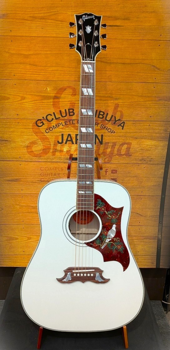 Gibson Custom Shop【ご購入特典アリ!】Dove Alpine White【限定製作