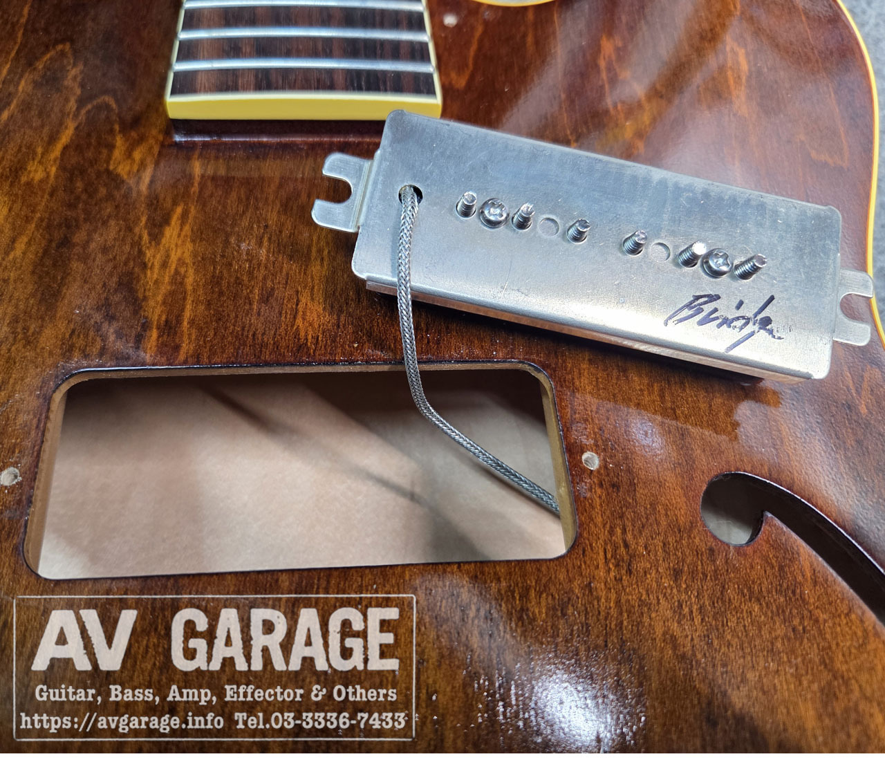 KING SNAKE Swamp Dirty Walnut 2020年代フジゲン製（中古）【楽器検索