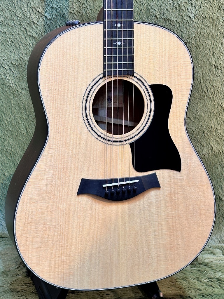 Taylor 317e V-class アコースティックギター ハードケース付き Taylor 317e V-class アコースティックギター ハードケース付き Taylor