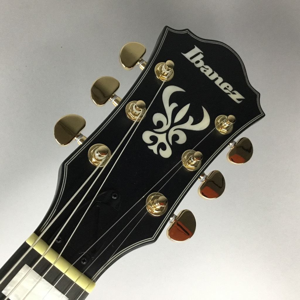 Ibanez AG85-BKF（新品/送料無料）【楽器検索デジマート】