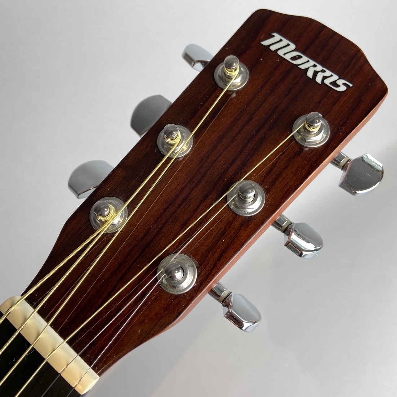 Morris F TS アコースティックギター中古楽器検索デジマート