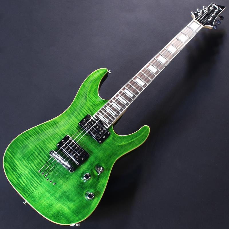 SCHECTER PA-SW/TH #S2509225【Proguage Artist Model Shadows