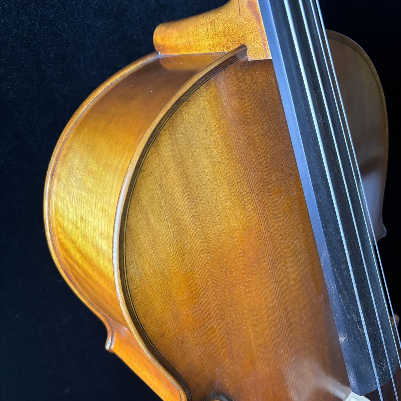 Carlo Giordano sc-160 1/4チェロセット 楽天市場】carlo giordano sc-160の通販