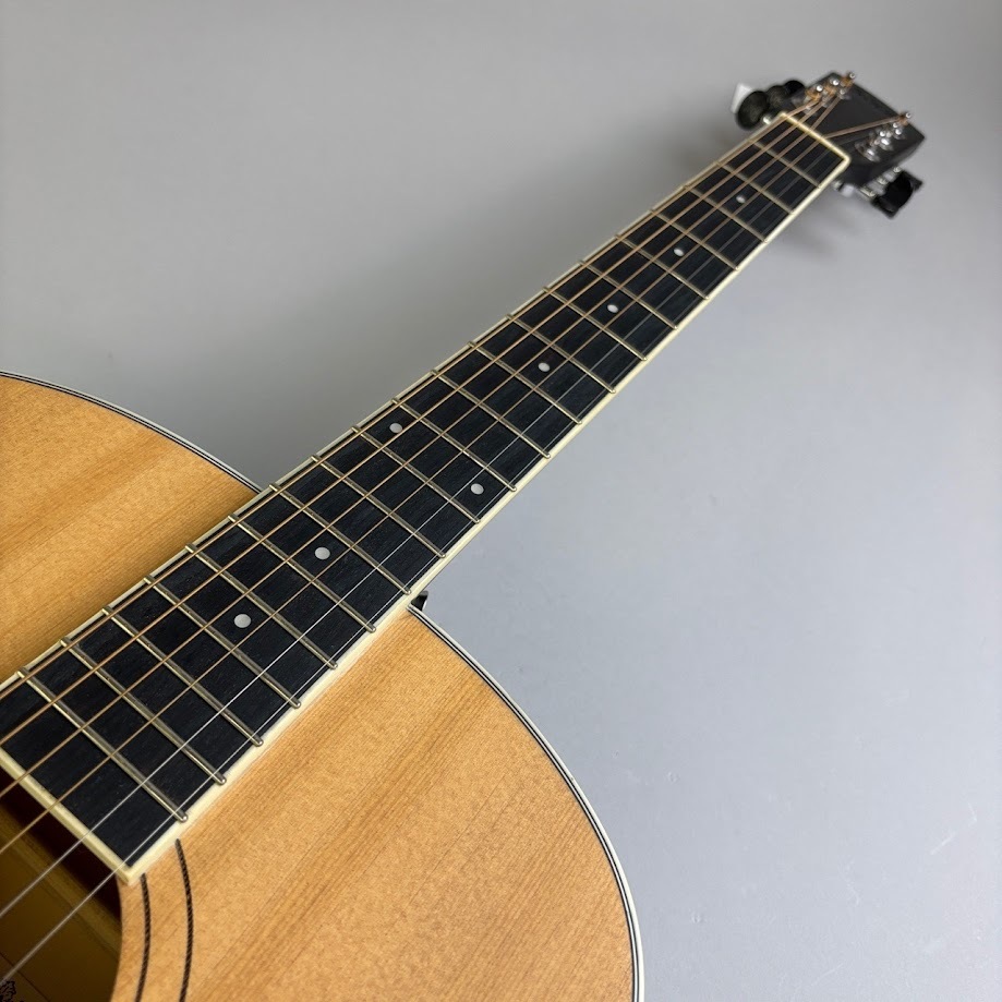 Soldin SFG-15 NAB アコースティックギター Soldin SFG-15 II【現物画像】 ソルディン 【 イオン長岡店