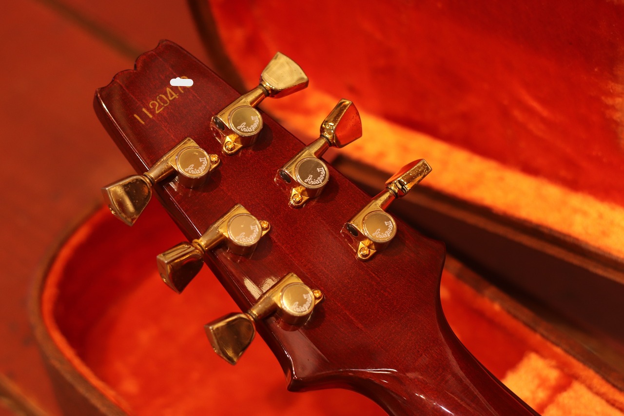 Aria Pro II PE-R80 1981 Antique Brown（ビンテージ/送料無料