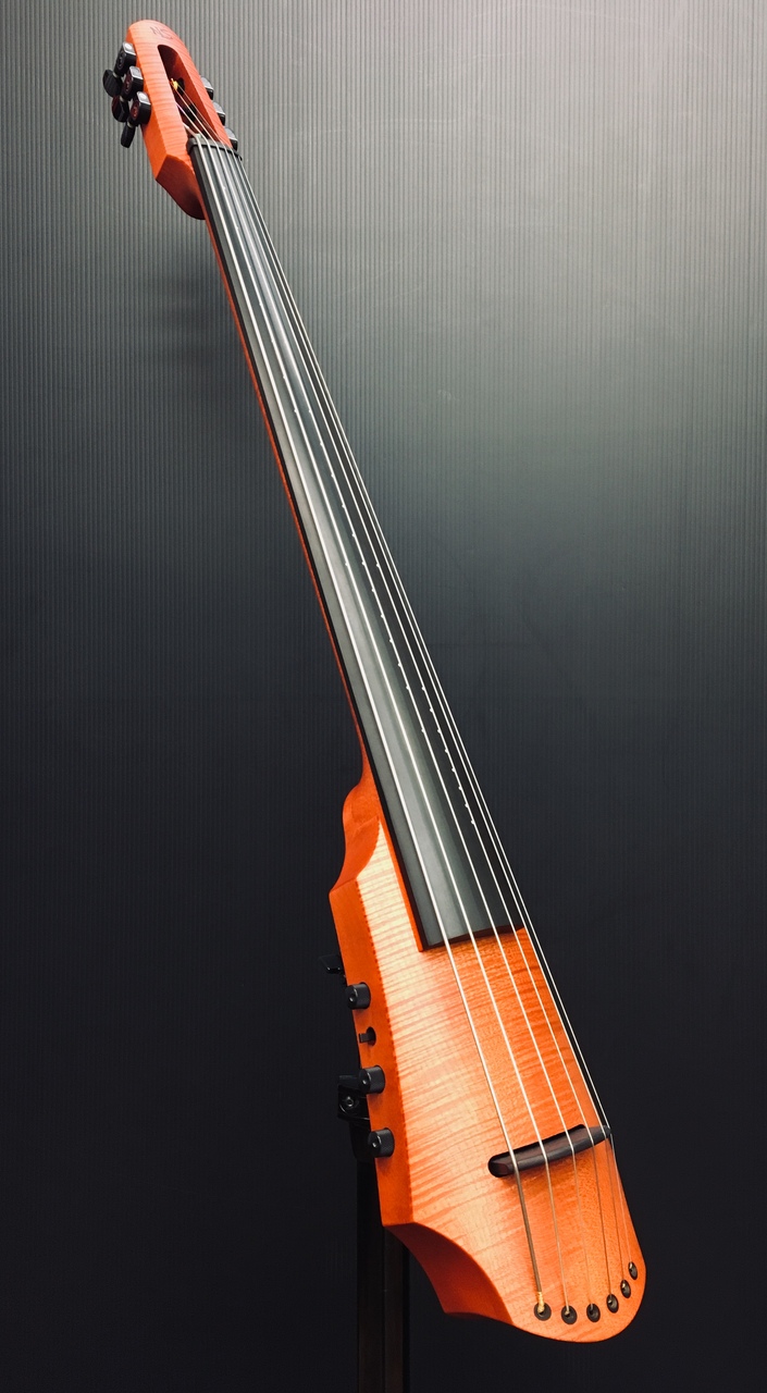 福袋特集 2021 CR Cello NS design Electric cello 5 チェロ Cello