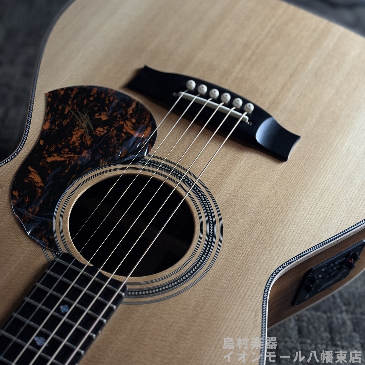 MATON EBG808 ARTIST #290492CJ（新品/送料無料）【楽器検索