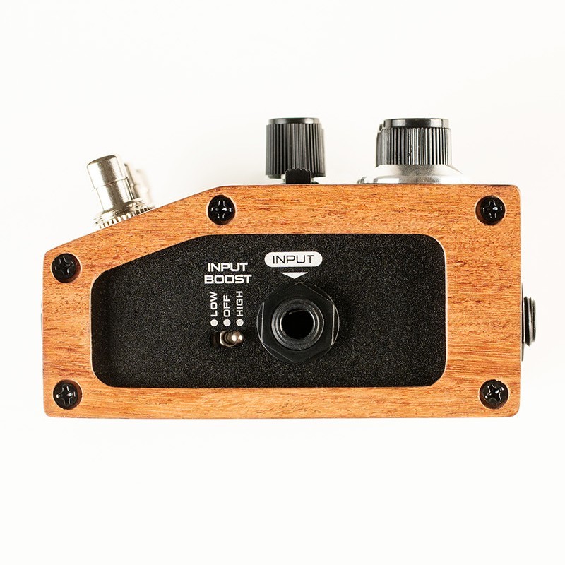 DSM&HUMBOLDT ELECTRONICS DUMBLIFIER 【話題の逸品】（新品/送料無料