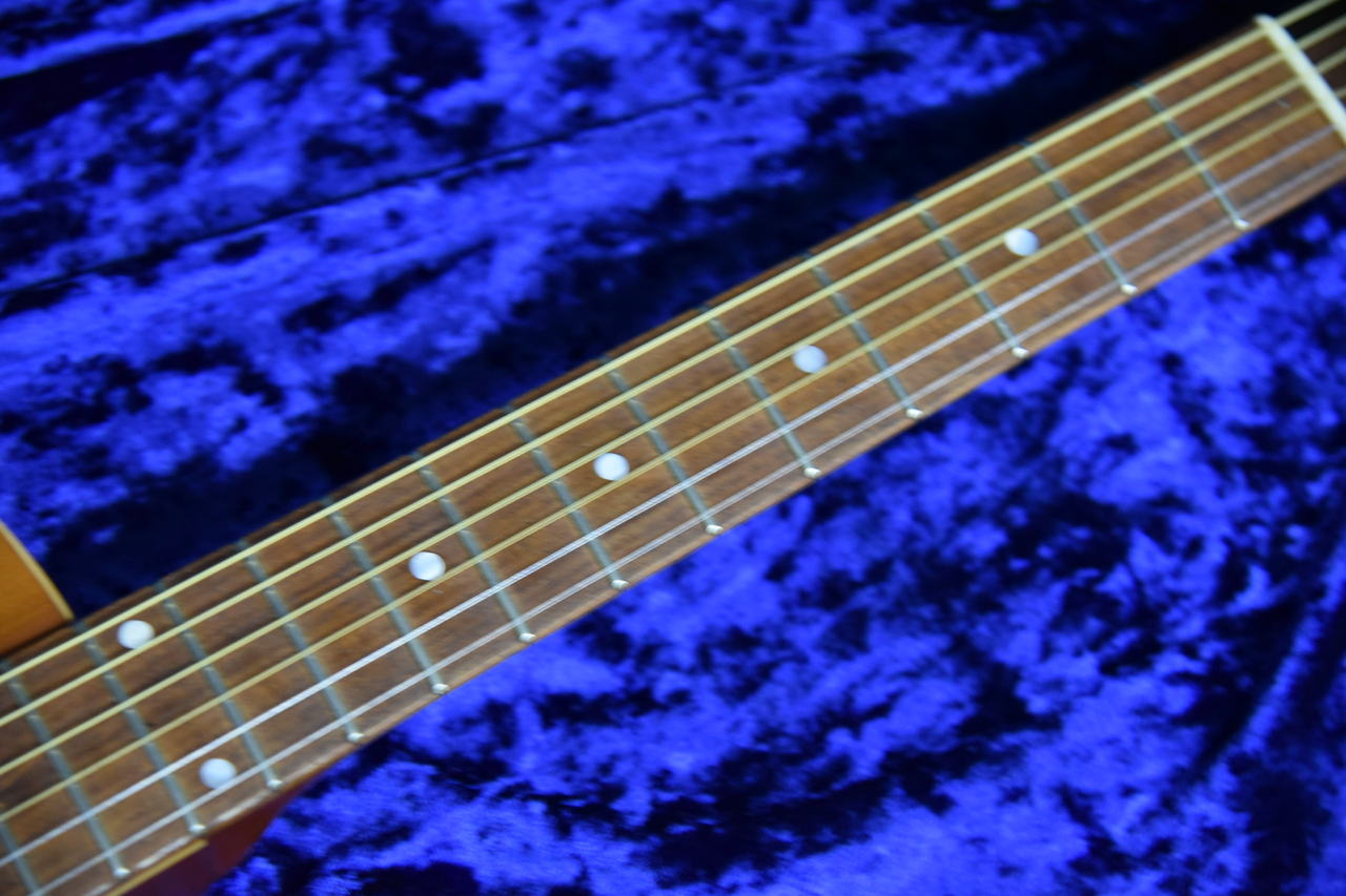 ESP BambooInn-C ピックアップ搭載モデル（中古）【楽器検索デジマート】