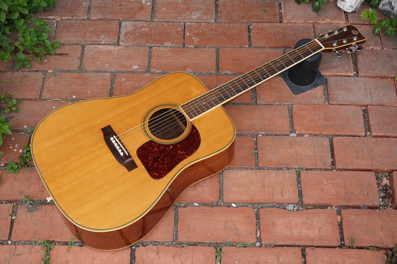 TAKAMINE ELITE TW30 アコースティックギター 聴こえ ハード