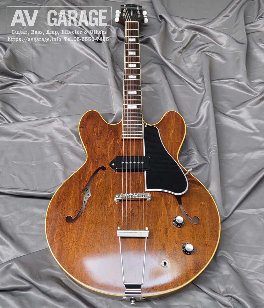 KING SNAKE Swamp Dirty Walnut 2020年代フジゲン製（中古）【楽器検索