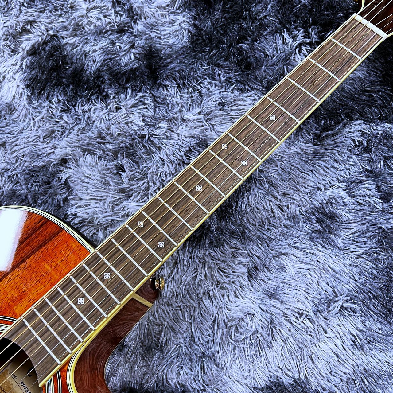 Takamine FPT531KC N 【2025年製】【日本製】【エレアコ】【ワイルドな