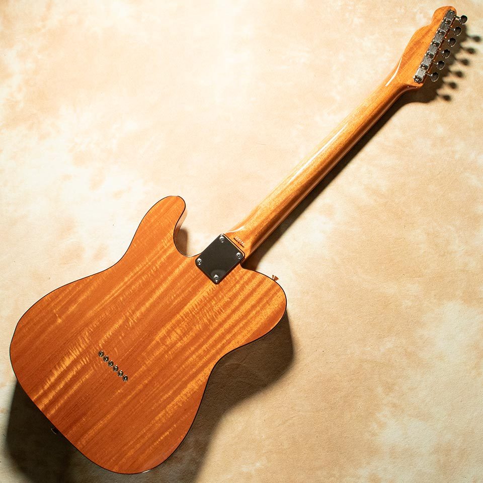 Tokai ATE-103S N/R（新品/送料無料）【楽器検索デジマート】