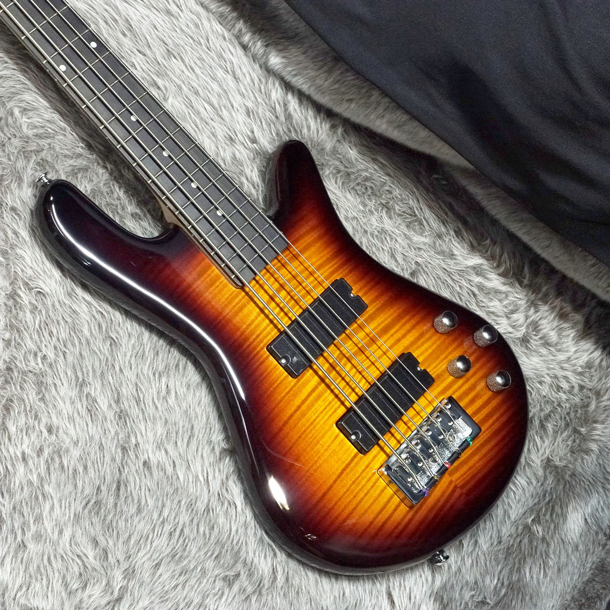 Spector Legend 5 Classic 5弦ベース 美品!