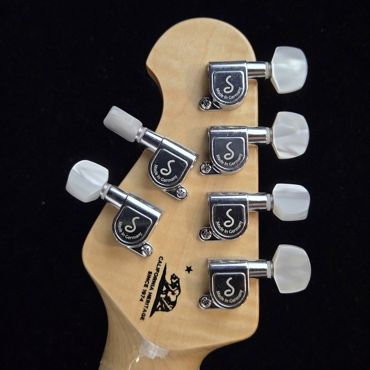 MUSIC MAN KID Limited AXIS - Trans Gold【現物画像】【3.47kg