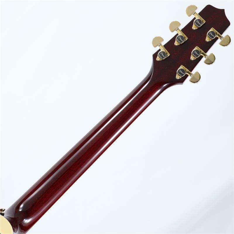 Takamine DMP551C WR タカミネ（新品）【楽器検索デジマート】