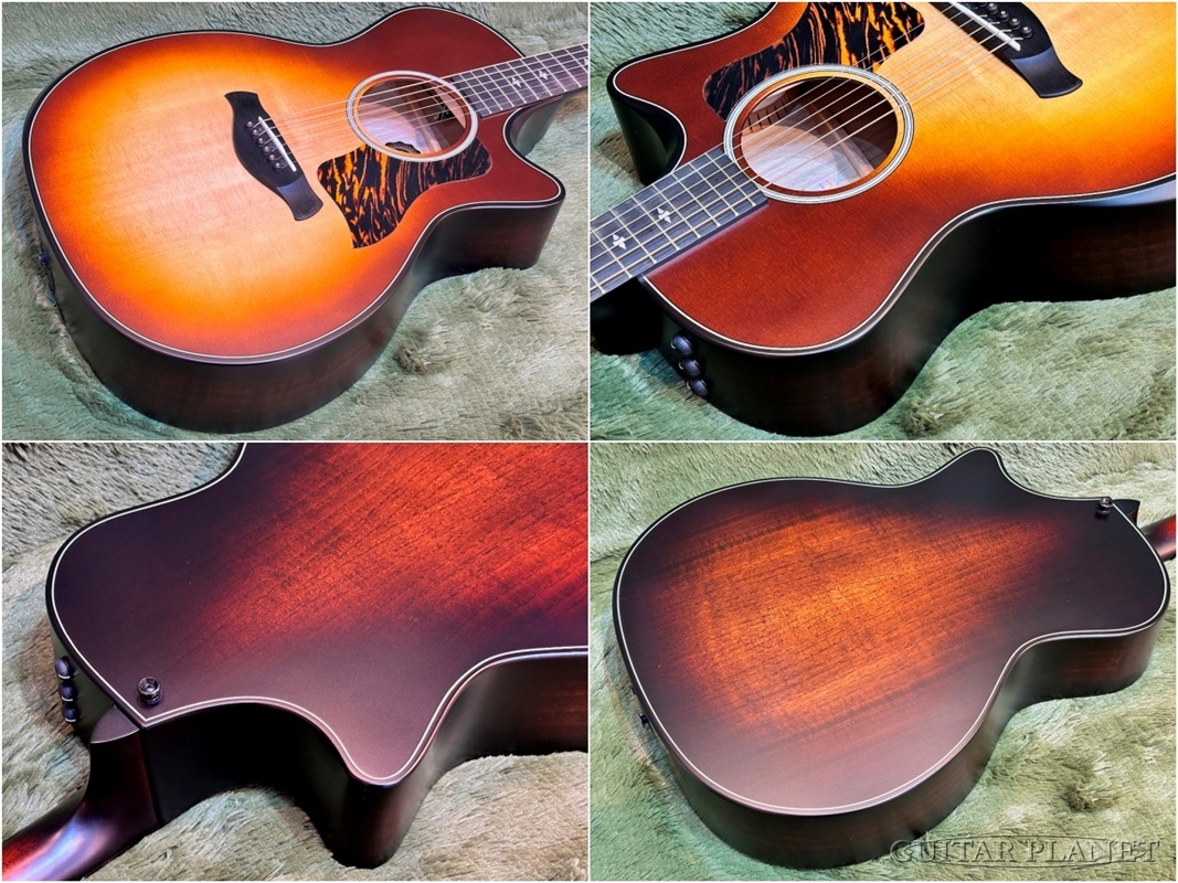 Taylor 【Taylor Deadstock Fair】50th Anniversary Builders Edition