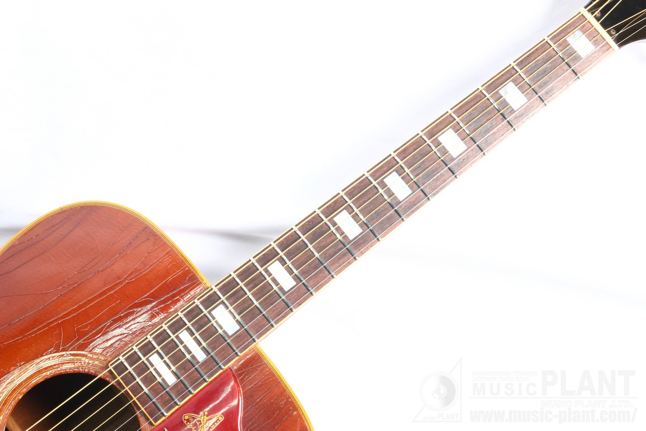Jumbo Hummingbird 単板モデル　ジャパンビンテージ '70s Jumbo Hummingbird 単板 ジャパンビンテージ '70s PG新品 - メルカリ