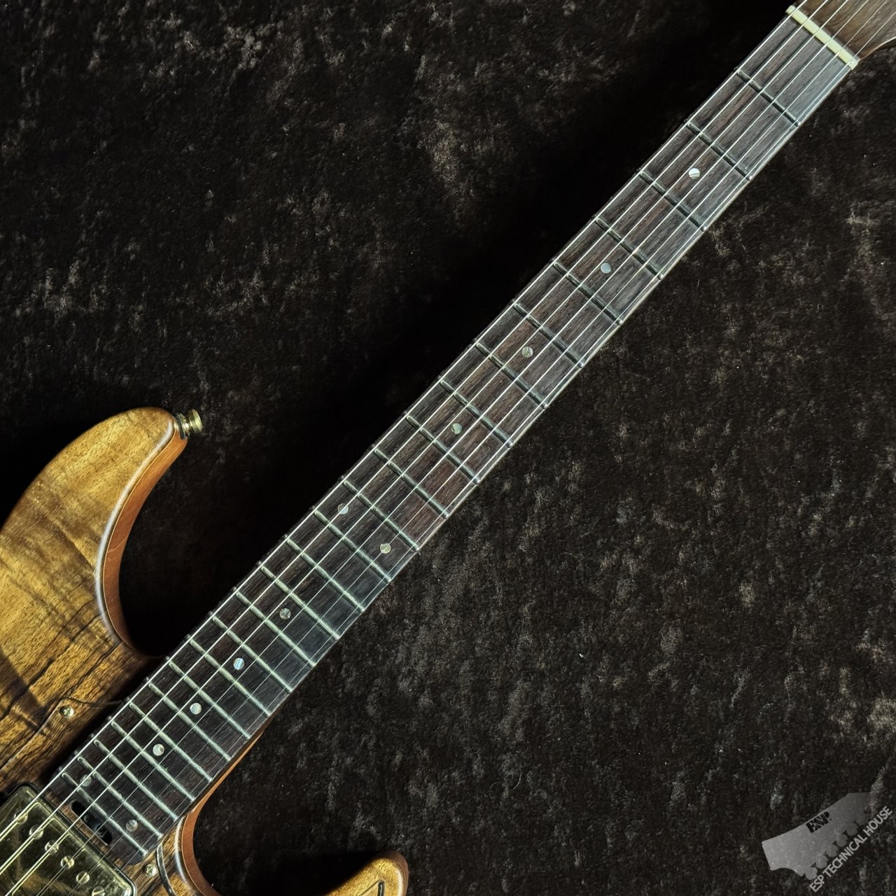ESP SNAPPER CTM - The ESP Guitar Company