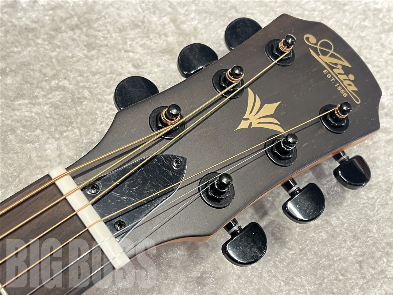 ARIA FET-F2【Stained Brown】（新品）【楽器検索デジマート】